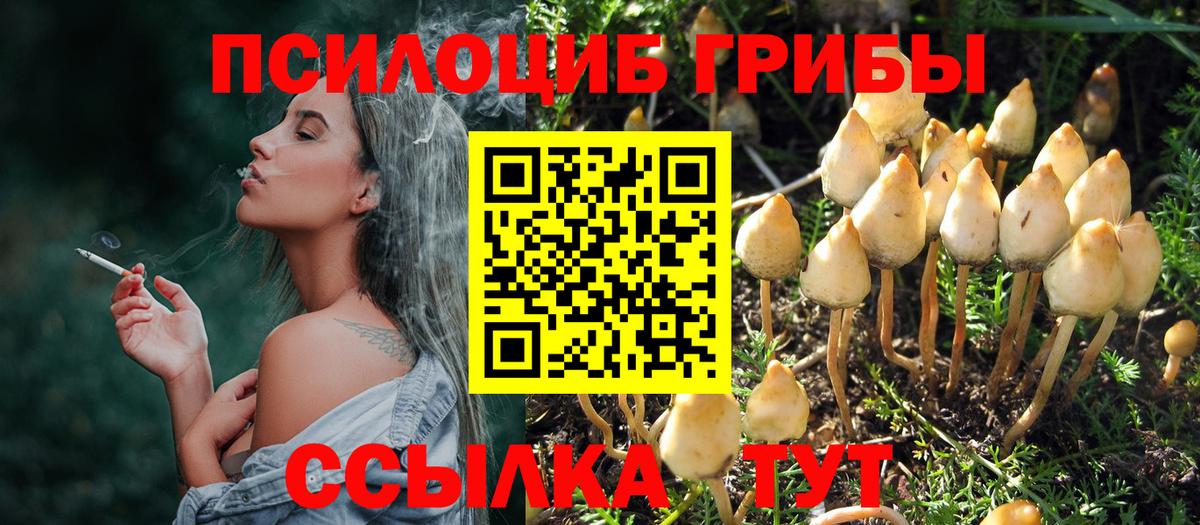 Вязники  Псилоцибиновые грибы GOLDEN TEACHER  Вход с VPN 