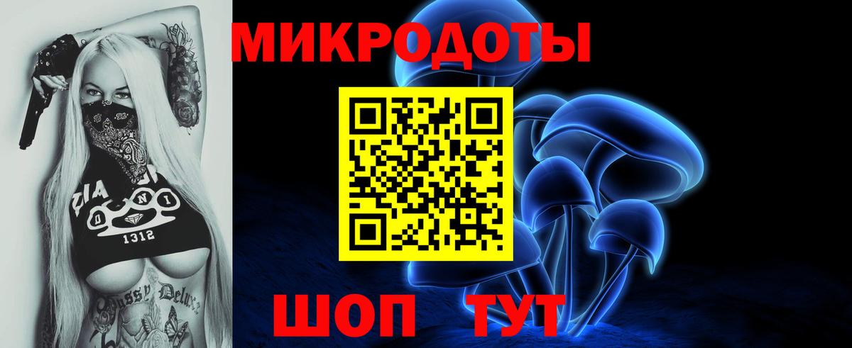 Псилоцибиновые грибы мицелий Вязники